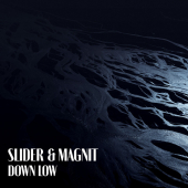 постер песни Slider &amp; Magnit - Down Low