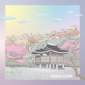постер песни Peach Luffe - Someone Else