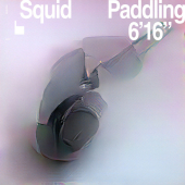 постер песни Squid - Paddling