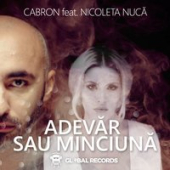 постер песни Nicoleta Nuca - Ce Fraieri