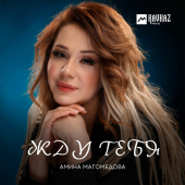 постер песни Амина Магомедова - Жду тебя