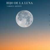 постер песни Mecano - Hijo de la luna