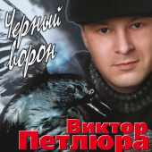 постер песни Виктор Петлюра - Не Жена И Не Вдова