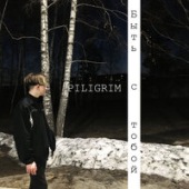 постер песни DJ Piligrim - Половина