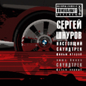 постер песни Сергей Шнуров - Никого не жалко