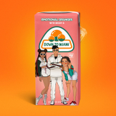 постер песни Emotional Oranges - Down To Miami