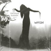 постер песни Tim Dian - Witch