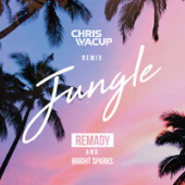 постер песни Remady, Bright Sparks - Jungle (Chris Wacup Remix)
