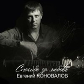 постер песни Евгений Коновалов - Я Тебя Никому Не Отдам