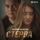 постер песни Валерий Милютин - Стерва