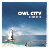 постер песни Owl City - Fireflies