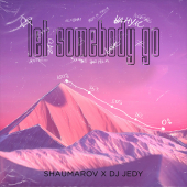постер песни Shaumarov - Let Somebody Go