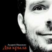 постер песни Андрей Ивашкин - Два крыла