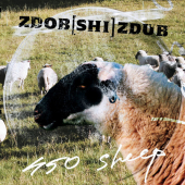 постер песни Zdob Si Zdub - DJ Vasile
