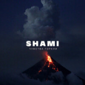 постер песни Shami - Чувства Горели