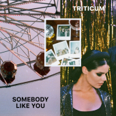 постер песни TRITICUM - Somebody Like You