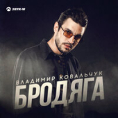 постер песни Владимир Ковальчук - Бродяга