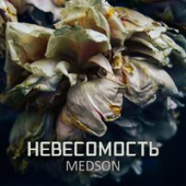 постер песни MEDSON - Невесомость