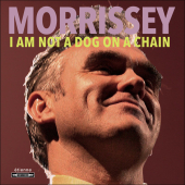 постер песни Morrissey - Jim Jim Falls