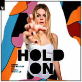 постер песни Armin van Buuren,Davina Michelle - Hold On