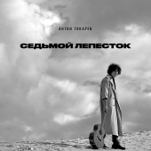 постер песни Антон Токарев - Седьмой лепесток (Cover)