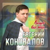 постер песни Евгений Коновалов - Лишь Бы Ты…