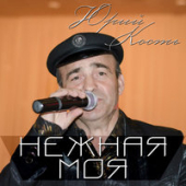 постер песни Владимир Алмазов - Моя любимая и нежная