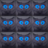 постер песни Паша Proorok - Хочу быть котом