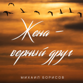 постер песни Михаил Борисов - Жена — верный друг