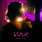 постер песни Bananafish - На расстоянии