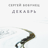 постер песни Сергей Бобунец - Декабрь