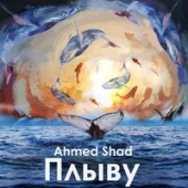 постер песни Ahmed Shad - Засыпай