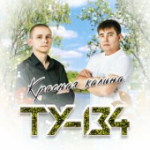 постер песни ТУ134 - Любовь в Сердце Моём