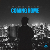 постер песни NALYRO - Coming Home