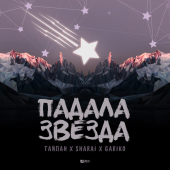 постер песни Тайпан - Падала звезда