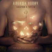 постер песни Алекша Нович - Бабочки в горсти