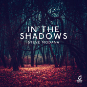 постер песни Steve Modana - In the Shadows