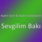 постер песни Aydin Sani - Sevgilim