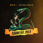 постер песни MriD,Artem Smile - Ядовитая змея