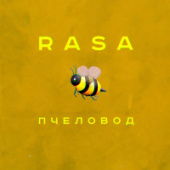 постер песни RASA - Пчеловод