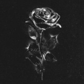 постер песни Марьяна Ро - Чёрные Розы