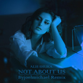 постер песни Alis Shuka - Not About Us (Byjoemichael Remix)