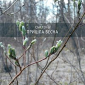 постер песни Рустам Нахушев - Весна пришла
