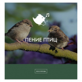 постер песни Звуки природы - Пение птиц на рассвете