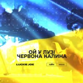 постер песни Бумбокс - Ой У Лузі Червона Калина (The Kiffness Remix)