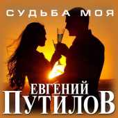 постер песни Евгений Путилов - Ты Не Со Мной