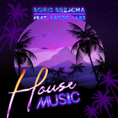 постер песни Boris Brejcha - House Music