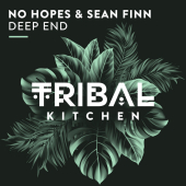 постер песни Sean Finn - Deep End (Radio Edit)