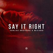 постер песни Sunlike Brothers - Say It Right
