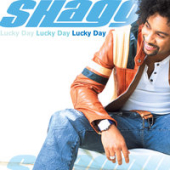 постер песни Shaggy, Sean Paul, Brian Gold, Tony Gold - Hey Sexy Lady (Original Sting International Mix)